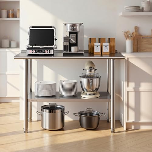 VEVOR Stainless Steel Work Table, 24x48 Inch Food Prep Table with Backsplash, Commercial Kitchen Workstation with Adjustable Undershelf, Metal Heavy Duty Utility Worktable, for Restaurant Home Outdoor