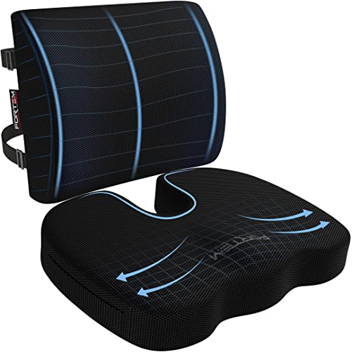 FORTEM Seat Cushion & Lumbar Support for Office Chair, Wheelchair, Car