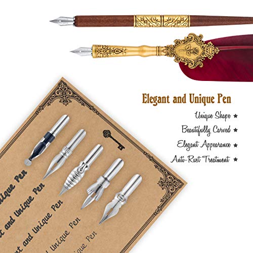 Hethrone Feather Pen and Ink Set Calligraphy Fountain Dip Pens