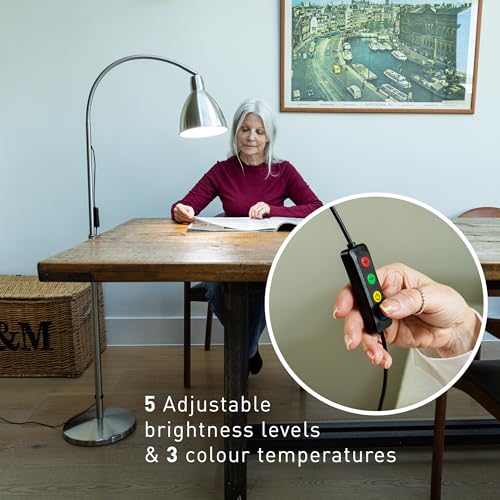 Daylight FlexiVision 2™ LED Floor Lamp – 3,500 Lux at 12", 5 Brightness Levels, 3 Color Temperatures, 95+ CRI, Adjustable Arm & Swivel Head, Anti-Tip Base, Low Vision Aid – Brushed Steel