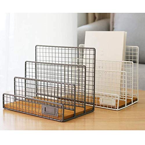 AFPSDLFJDLS Document Organizer - Decorative Metal Farmhouse Magazine Holder and Organizer Bin - Standing Rack for Magazines, Books, Newspapers,(D)