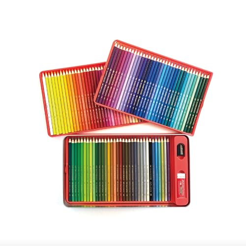 Faber Castell TFC-CP/100C Oil-based Colored Pencils, Flat Cans, Set of 100 Colors
