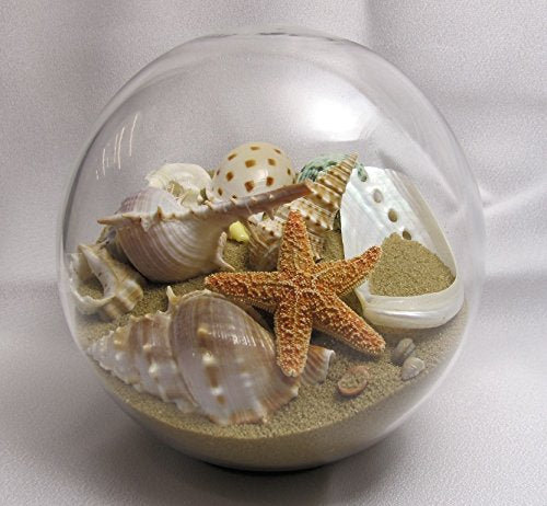 Sand & Shell Sandglobe Paperweight 5-inch Off-White Sand