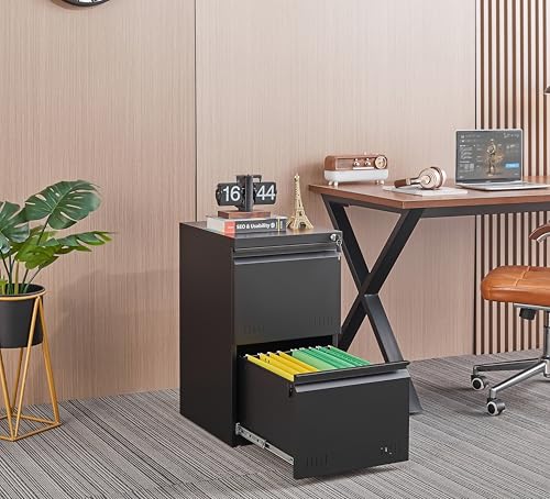 Guizeeopo 2 Drawer File Cabinet with Lock, Vertical File Cabinets for Home Office, Printer Stand, Heavy Duty Steel Office Storage Cabinet for Letter/Legal/A4, Assembly Required(Black)
