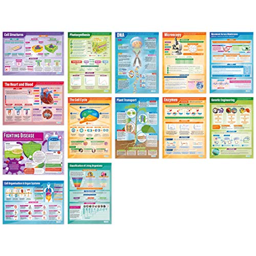 Biology Science Classroom Posters, Set of 13, EXTRA LAGE 33" x 23.5"