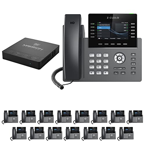 Mission Machines S-100 Business Phone System: Platinum Pack - Auto Attendant/Voicemail, Wi-Fi, Cell & Remote Phone Extensions, Call Record & Mission Machines Phone Service for 2 Months (16 Bundle)