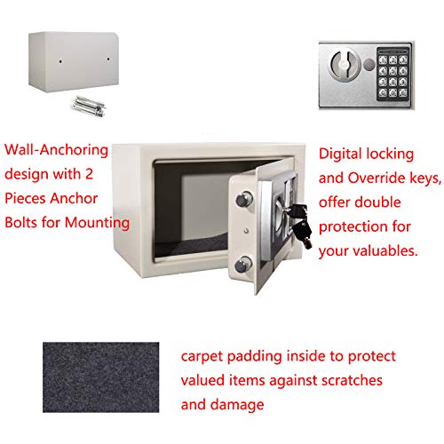 ntumLeap Safe 6L Safe Electronic Security Box Digital Password & Keys Combinatlock for Home Office Hotel Antitheft Wall Mounted Steel Safety Box/Gray Safe,White-A
