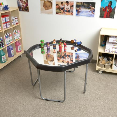 Excellerations TuffTray Mirror Insert