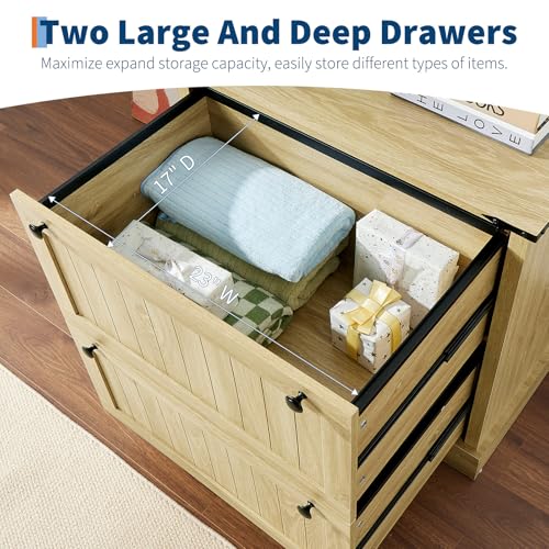 Hoguyexila 2 Drawer Farmhouse Lateral File Cabinet for Home Office