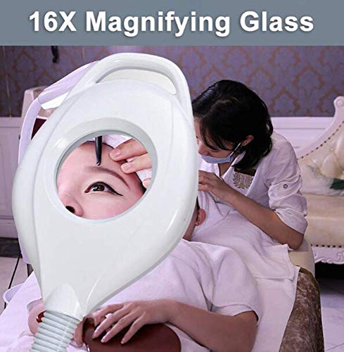 Magnifying Glasses Magnifying Floor, Daylight Bright Magnifier Lighted Glass 16X Magnifying Lens with Stand, Flexible Height Adjustable Gooseneck Standing Cold Light for Reading S (Color : A