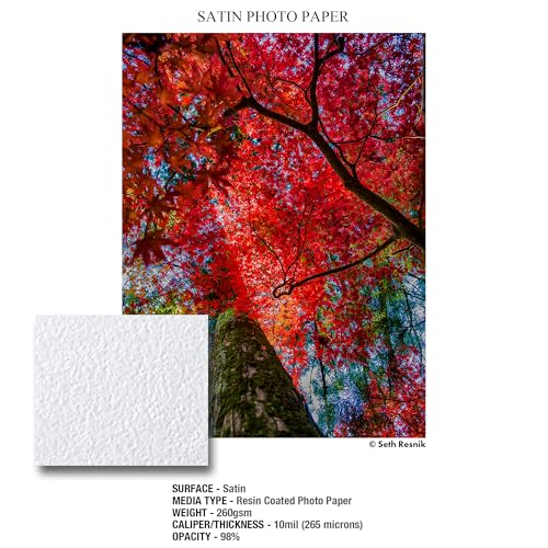 Ilford Galerie 24" x 100ft (1 Roll) Satin Photo with Lustre Surface, Instant Dry Archival Photo Inkjet Paper 10mil / 260gsm for Dye and Pigment Ink Printers, Made in Germany