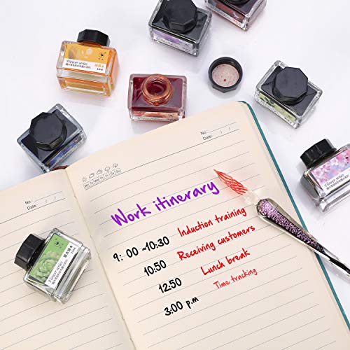 SVBAQUUY Calligraphy Ink,12 Colors Dip Calligraphy Pen Inks Set for Art,Writing,Signatures,Calligraphy, Decoration,Gift (15ml)