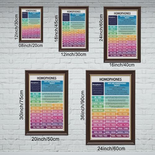 HOMOPHONES POSTER English Language Grammar Chart Correct Spelling Homeschool Classroom Resource Educational Poster 3 Canvas for Elementary Middle School Classroom Education Hanging Frame 24"L X 36"W
