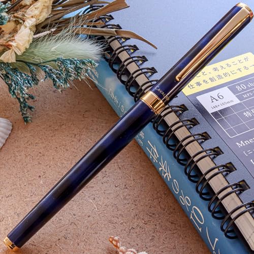 Pilot Marble Fountain Pen, Black&Blue (FCAN-5SR-BL-F)