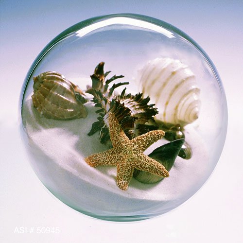 Sand & Shell Sandglobe Paperweight 5-inch White Sand