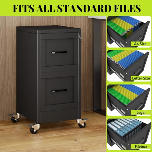 GDNVBRDS 2-Drawer Rolling Metal File Cabinet with Lock, Narrow, Black