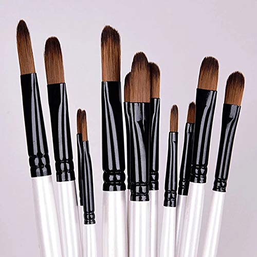 HBJWOV 12Pcs/Set Artist Paint Brush Multi-Function Drawing Art Supplies Watercolor Paint Pen Nylon Hair Oil Painting Brushes(E)