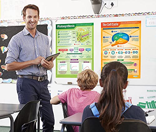 Biology Science Classroom Posters, Set of 13, EXTRA LAGE 33" x 23.5"