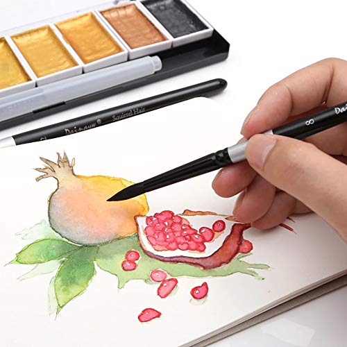 UOHLCX HBJWOV Professional 4Pcs Black Handle Round Brushes Set Squirrel Hair Art Painting Brushes for Artistic Watercolor Gouache Wash Mop