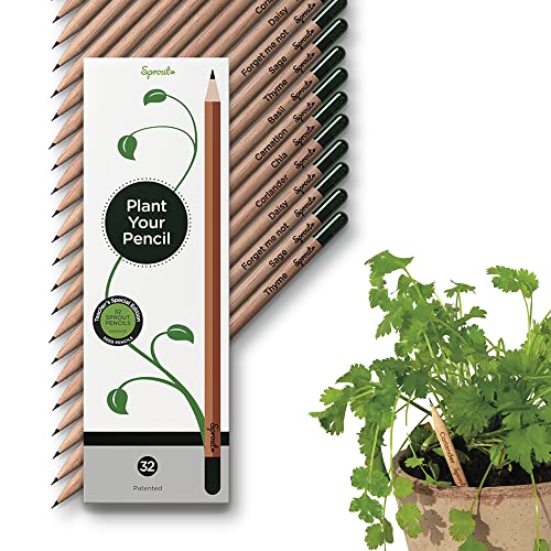 Sprout Wood-Cased Pencils | Teacher's Edition | HB Pre-Sharpened Graphite Plantable Wooden Pencils with flower, Herb & Vegetable Seeds | Gift for Teachers, Creative Kids & School Students | 32 Pack