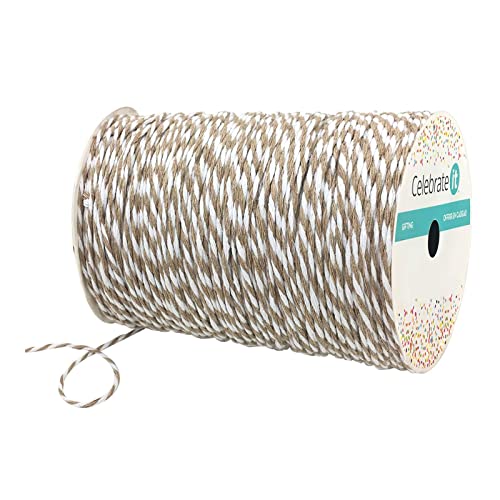 Celebrate It 100yd. Twine, 12 Pack