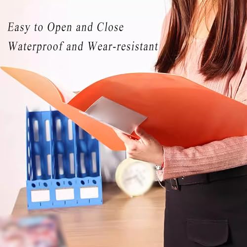 VRFTGHYJU Pack of 2 A3 60 Pocket Display Folders for Document Presentation Multicolor(Pink)