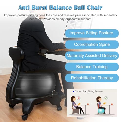 RENLXFI Stability Ball Desk Chair with Wheels & Back Support, Large 55cm Anti-Burst Balls Ergonomic Chairs/Medicine Ball Chair Stand 660 Lb, Adults Students Seniors Exercise Ball Chairs