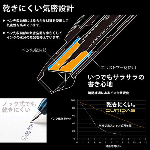 Platinum Fountain Pen, Curidus, Abyss Blue, Fine Point, PKN-7000#50-2