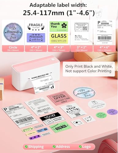 Phomemo Bluetooth Thermal Label Printer, 241BT Label Printer & 20Pcs Labels