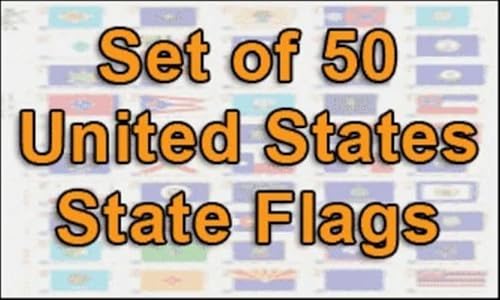 Wholesale Lot of ALL 50 States 4"x6" Desk Table Stick Flag