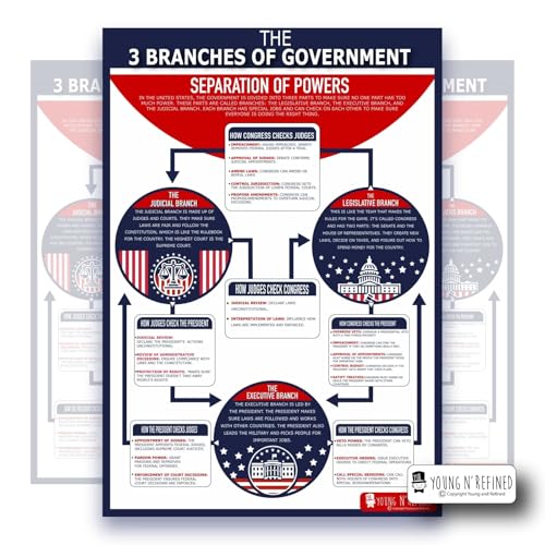 XXL Learning Three Branches of Government chart Plastic poster for classroom clear teaching tool for schools Young N Refined (36x54)
