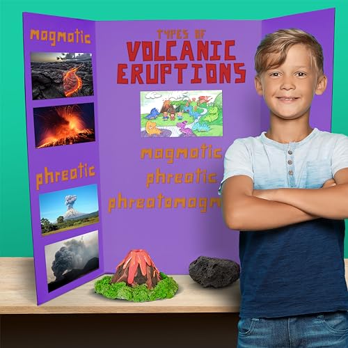 Flipside Products 36” x 48” Project Boards for Presentations, Science Fair, School Projects, Event Displays and Trifold Picture Board, Proudly Made in USA - Purple - 24 Pack