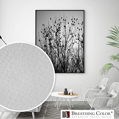 Elegance Velvet 17 in x 25 in, 25 Sheets is a Premium Matte 310 gsm, Cold Pressed Bright White Museum Grade Fine Art Inkjet Paper, Compatible with Most Dye-Based and Pigment Printers