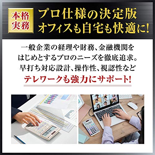 CASIO 12-digit calculator notebook JS200WN (japan import)