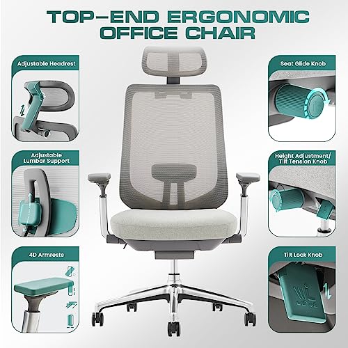 MALOL Ergonomic Mesh Office Chair, High Back Computer Executive Desk Chair with Adjustable Headrest and 4D Arms, Slide Seat, Tilt Lock-Light Grey