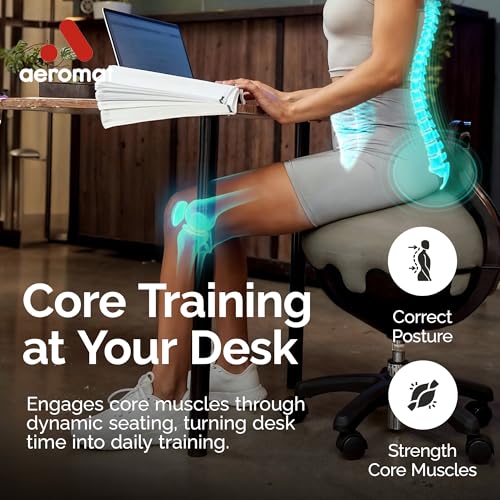 Aeromat Elite Yoga Ball Chair Active Sitting & Adjustable Height 250lbs Cap