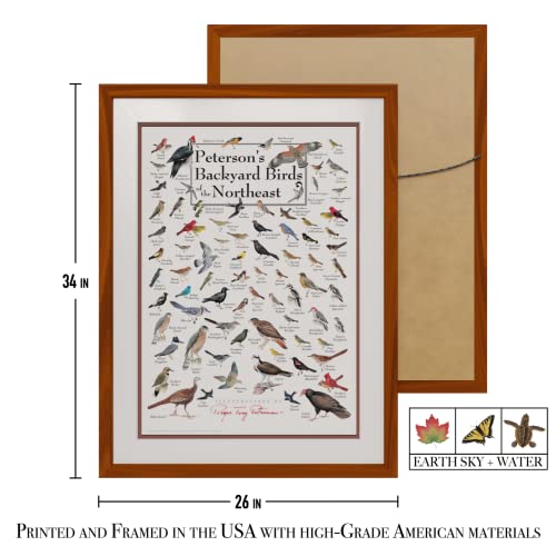 Earth Sky + Water - Peterson's Backyard Birds of the Northeast - Double-matted Posters with Honey Frame