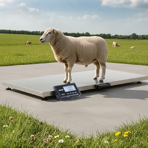 VEVOR Digital Shipping Scale, 0.1 lbs High Accuracy, 660 lbs Postal Scale with LCD Display, Hold/Tare Function & AC/DC Power Supply, Fit for Packages, Postage, Luggage, Battery & Adapter Included