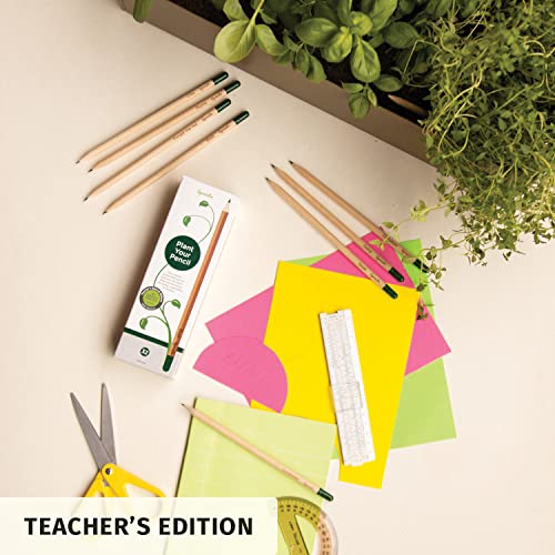 Sprout Wood-Cased Pencils | Teacher's Edition | HB Pre-Sharpened Graphite Plantable Wooden Pencils with flower, Herb & Vegetable Seeds | Gift for Teachers, Creative Kids & School Students | 32 Pack