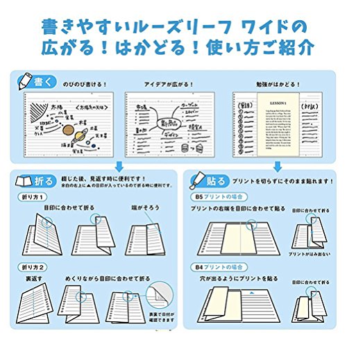 Maruman L1297 Loose Leaf Wide B5 Square 0.2 inch (5 mm), 15 Pieces, Set of 5