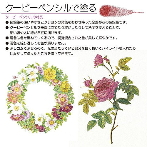 Sakura Craypas FY30NU Coupy Colored Pencils, 30 Colors, Color On Color