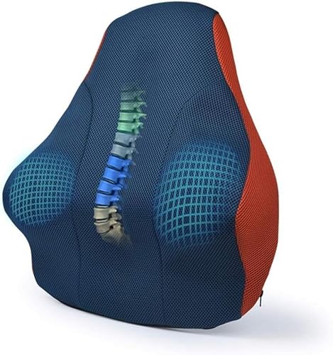 EZLQGBWKPDT Backrest cushion - Suitable for waist support of office chairs, car seat backs, memory foam cushions, washable outer cover