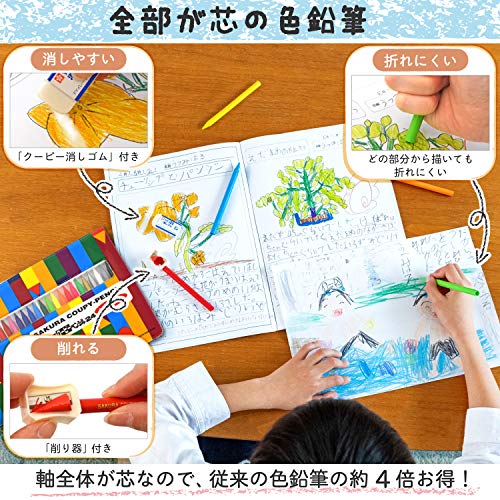 Sakura Craypas FY24R1(5) Coupy Colored Pencils, Soft Case, 24 Colors, 5 Pieces