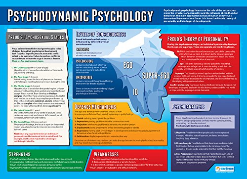 Psychological Approach Classroom Posters - Set of 5, 33" x 23.5", Laminated