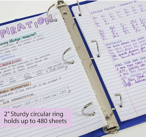 12 Pack, 2" Blue Slant D-Ring View Binder w/ 2-Pockets