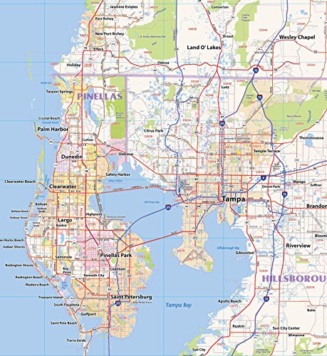 Topographics Central Florida Laminated Wall Map (52"Wx42"L)