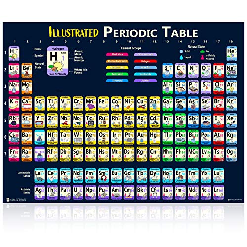 Young N Refined Extra Large Periodic Table of Elements (42x60) XXXL Plastic Kids Poster Illustrated 2026