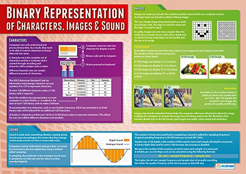 Daydream Education Data Representation Posters - Set of 5 | Computer Science Poster | Laminated Gloss Paper measuring 33” x 23.5” | STEM Posters for the Classroom | Education Charts