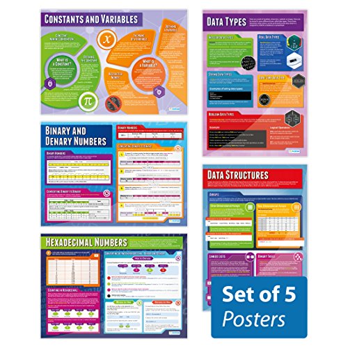Daydream Education Data Representation Comuter Science Classroom Poster - EXTRA LARGE 33” x 23.5” - Laminated - STEM Middle & High School Class Decoration - Wall Charts