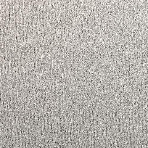 Clairefontaine Etival Coloured Grained Drawing Paper, 50x65cm, 160g, Clear (24 Sheets), 50 x 65 cm, Light Grey